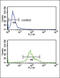 Testosterone 17-beta-dehydrogenase 3 antibody, 63-983, ProSci, Flow Cytometry image 