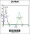 Heterogeneous Nuclear Ribonucleoprotein L antibody, 61-621, ProSci, Immunofluorescence image 