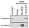 SAM And HD Domain Containing Deoxynucleoside Triphosphate Triphosphohydrolase 1 antibody, MA5-25299, Invitrogen Antibodies, Western Blot image 