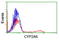 Cytochrome P450 2A6 antibody, LS-C173463, Lifespan Biosciences, Flow Cytometry image 