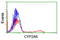 Cytochrome P450 Family 2 Subfamily A Member 6 antibody, LS-C173463, Lifespan Biosciences, Flow Cytometry image 