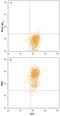 Discoidin Domain Receptor Tyrosine Kinase 2 antibody, MAB25381, R&D Systems, Flow Cytometry image 