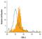 Anthrax toxin receptor 2 antibody, PA5-47422, Invitrogen Antibodies, Flow Cytometry image 