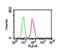 Component Of Inhibitor Of Nuclear Factor Kappa B Kinase Complex antibody, MA5-16157, Invitrogen Antibodies, Flow Cytometry image 