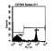 CD8 antibody, CL008FX, Origene, Flow Cytometry image 