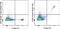 CD8b Molecule antibody, 62-0083-82, Invitrogen Antibodies, Flow Cytometry image 