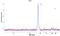 Phosphoglucomutase 5 antibody, NBP2-32043, Novus Biologicals, Western Blot image 