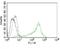 Nucleolin antibody, orb388511, Biorbyt, Flow Cytometry image 