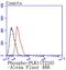 Polo Like Kinase 1 antibody, NBP2-67859, Novus Biologicals, Flow Cytometry image 