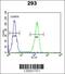 Chromosome 5 Open Reading Frame 15 antibody, 61-981, ProSci, Immunofluorescence image 