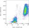 Lactotransferrin antibody, NBP2-67260, Novus Biologicals, Flow Cytometry image 