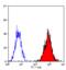 Major Histocompatibility Complex, Class I, B antibody, MCA986F, Bio-Rad (formerly AbD Serotec) , Flow Cytometry image 