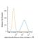 Actin Alpha 2, Smooth Muscle antibody, NBP2-34522PE, Novus Biologicals, Flow Cytometry image 