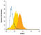 RUNX Family Transcription Factor 3 antibody, MAB3765, R&D Systems, Flow Cytometry image 