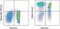Selectin L antibody, 25-0629-42, Invitrogen Antibodies, Flow Cytometry image 