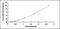 S100 Calcium Binding Protein A16 antibody, MBS2024732, MyBioSource, Enzyme Linked Immunosorbent Assay image 