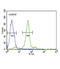 Folate Receptor Alpha antibody, abx025854, Abbexa, Flow Cytometry image 