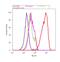 Proteasome Subunit Alpha 5 antibody, PA1-1962, Invitrogen Antibodies, Flow Cytometry image 