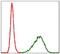 Tubulin Alpha 8 antibody, MA5-17193, Invitrogen Antibodies, Flow Cytometry image 