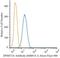 DNA Methyltransferase 3 Alpha antibody, NB100-56521, Novus Biologicals, Flow Cytometry image 