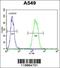 Sorting Nexin 24 antibody, 55-923, ProSci, Immunofluorescence image 