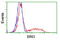 Bridging Integrator 3 antibody, TA501912, Origene, Flow Cytometry image 