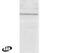 Lymphocyte Cytosolic Protein 2 antibody, PA1-9099, Invitrogen Antibodies, Western Blot image 