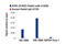 ATRX Chromatin Remodeler antibody, 14820S, Cell Signaling Technology, Chromatin Immunoprecipitation image 