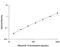 C-X-C Motif Chemokine Ligand 1 antibody, MKC00B, R&D Systems, Enzyme Linked Immunosorbent Assay image 