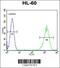 LFNG O-Fucosylpeptide 3-Beta-N-Acetylglucosaminyltransferase antibody, 63-988, ProSci, Flow Cytometry image 