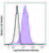 Interleukin 17 Receptor B antibody, 146302, BioLegend, Flow Cytometry image 