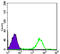 RAD21 Cohesin Complex Component antibody, orb318793, Biorbyt, Flow Cytometry image 