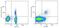 FOXP3 antibody, 13-4776-80, Invitrogen Antibodies, Flow Cytometry image 