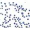 Sushi Domain Containing 3 antibody, LS-B13100, Lifespan Biosciences, Immunocytochemistry image 