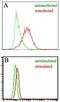 Epstein-Barr Virus Induced 3 antibody, MA5-16255, Invitrogen Antibodies, Flow Cytometry image 