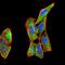 Colony Stimulating Factor 3 antibody, NBP2-52447, Novus Biologicals, Immunohistochemistry paraffin image 