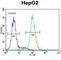 Proteasome 26S Subunit, Non-ATPase 7 antibody, abx031788, Abbexa, Western Blot image 