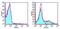 TNF Superfamily Member 8 antibody, 12-1531-83, Invitrogen Antibodies, Flow Cytometry image 