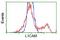 L1 Cell Adhesion Molecule antibody, GTX84244, GeneTex, Flow Cytometry image 