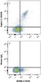 Sialic Acid Binding Ig Like Lectin 7 antibody, MAB11381, R&D Systems, Flow Cytometry image 