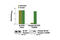 Colony Stimulating Factor 1 Receptor antibody, 12946S, Cell Signaling Technology, Enzyme Linked Immunosorbent Assay image 