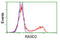 RASD Family Member 2 antibody, TA502074, Origene, Flow Cytometry image 