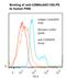 Carcinoembryonic Antigen Related Cell Adhesion Molecule 8 antibody, LS-C777373, Lifespan Biosciences, Flow Cytometry image 