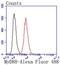 MYD88 Innate Immune Signal Transduction Adaptor antibody, NBP2-67626, Novus Biologicals, Flow Cytometry image 