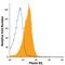 Plexin B1 antibody, FAB37491A, R&D Systems, Flow Cytometry image 