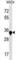 Alport Syndrome, Mental Retardation, Midface Hypoplasia And Elliptocytosis Chromosomal Region Gene 1 antibody, abx030753, Abbexa, Western Blot image 