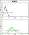 General Transcription Factor IIi antibody, PA5-35321, Invitrogen Antibodies, Flow Cytometry image 