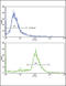 Aldehyde Dehydrogenase 6 Family Member A1 antibody, LS-B8998, Lifespan Biosciences, Flow Cytometry image 