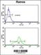 Enolase 1 antibody, 61-572, ProSci, Flow Cytometry image 