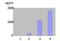 Matrix Metallopeptidase 12 antibody, DDX0284P-100, Novus Biologicals, Enzyme Linked Immunosorbent Assay image 